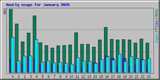 Hourly usage for January 2020